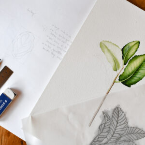 Ilustración naturalista de hojas en acuarela